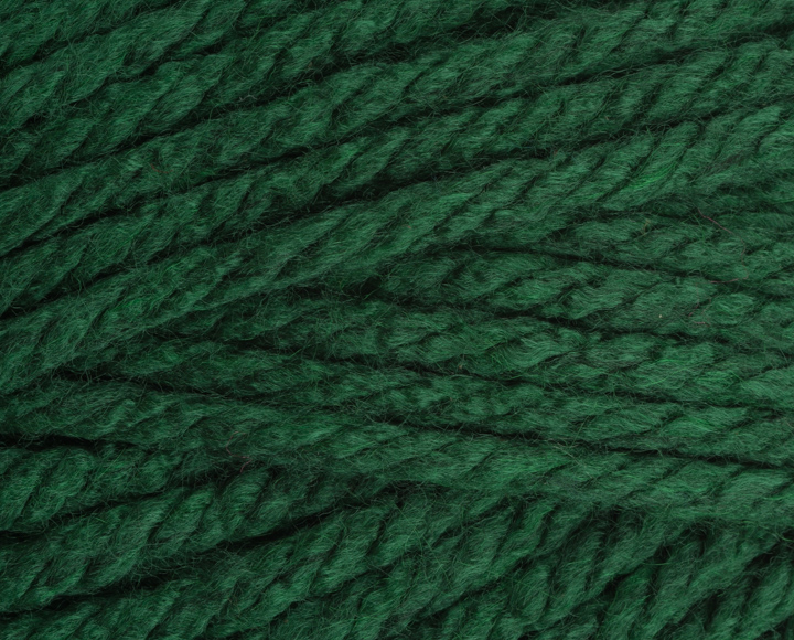 Stylecraft Special XL Super Chunky 910-1009 Bottle