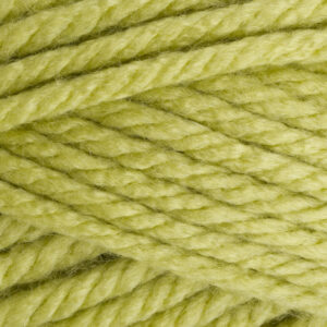 Stylecraft Special XL Super Chunky 910-1822 Pistachio