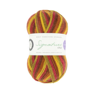 WYS Signature 4ply Winwick Mum 885 Autumn Leaves