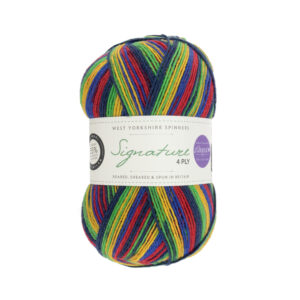 West Yorkshire Spinners Signature 4ply Winwick Mum 874 Bright Side