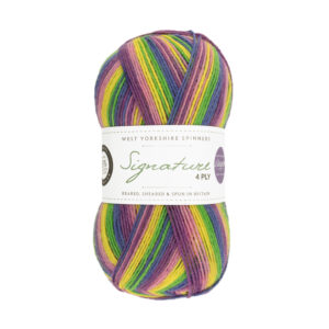 WYS Signature 4ply Winwick Mum 872 Wildflower