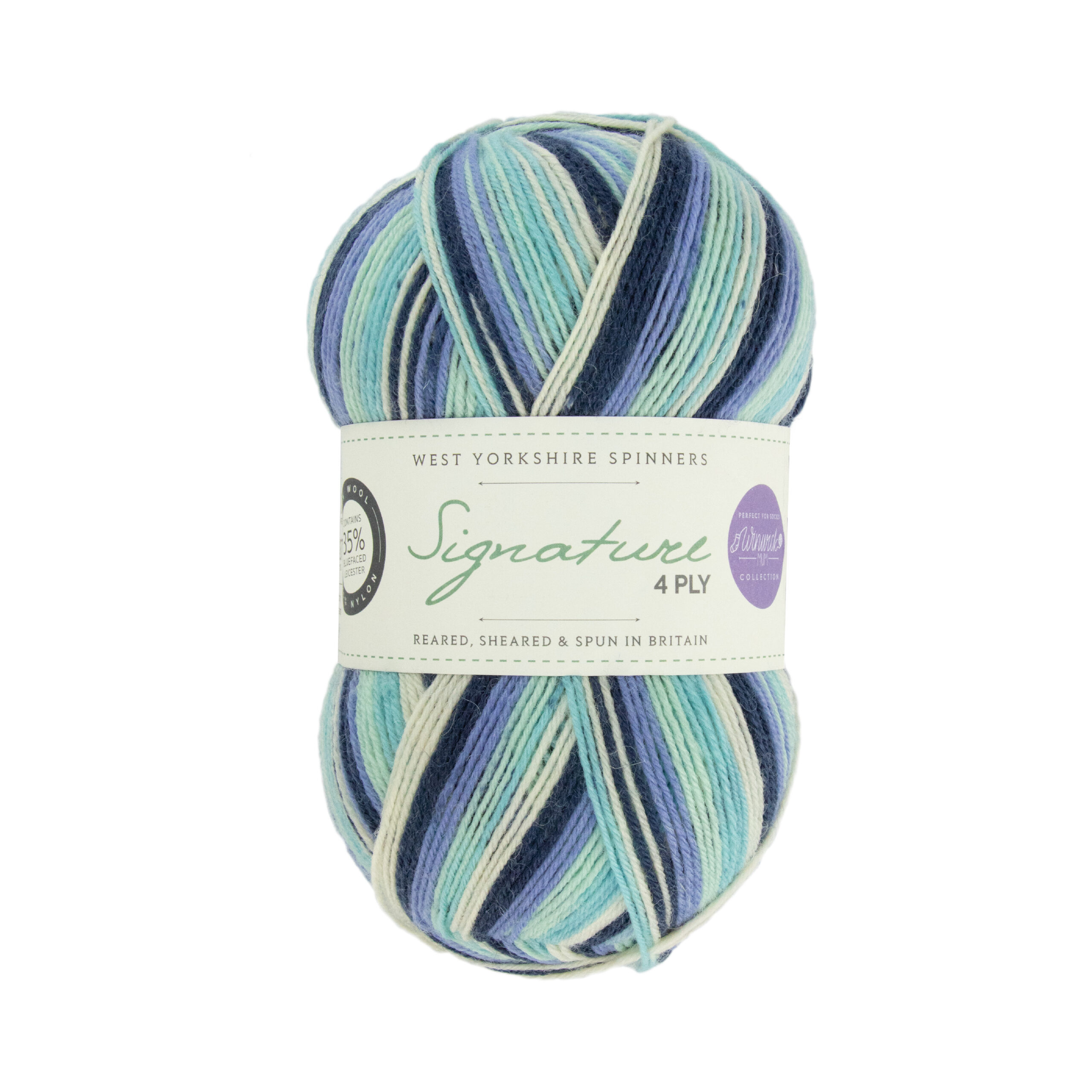 West Yorkshire Spinners Signature 4ply Winwick Mum 878 Winter Icicle