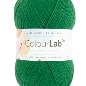 WYS ColourLab Sock DK 363 Bottle Green