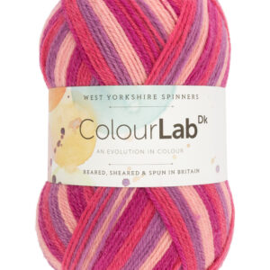 WYS ColourLab DK 893 Summer Pinks
