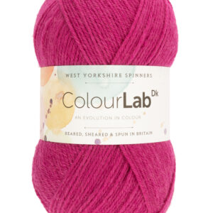WYS ColourLab Sock DK 647 Very Berry